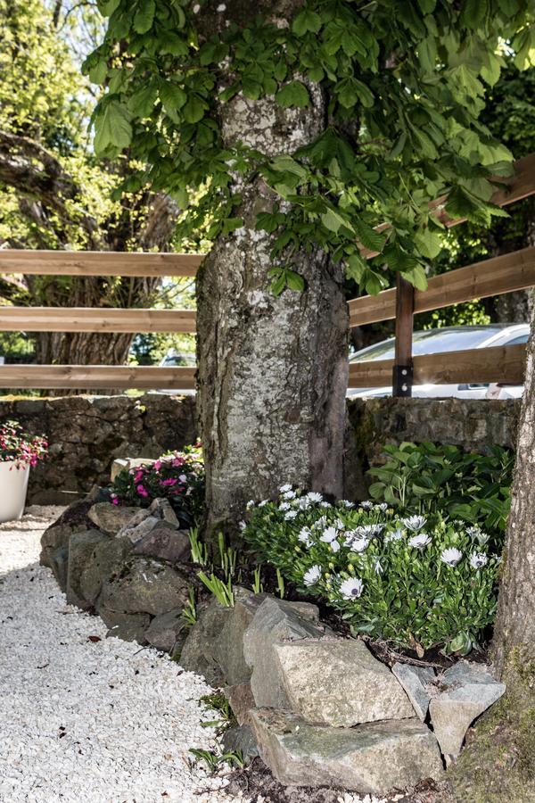 Hotel Saint Pierre Les Sauvages  Luaran gambar